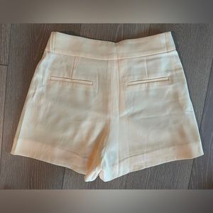 Aritzia skort